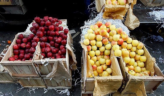 لیست قیمت فروش پوشال میوه